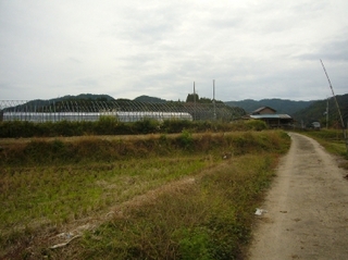 mini_P1160789.jpg
