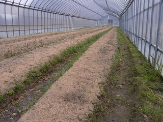 RIMG3450.JPG