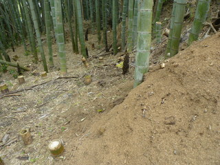 放置竹林峰山町内4.JPG