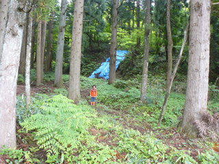 P1090271もりもり編02.JPG