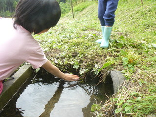 P1090300もりもり編05.JPG