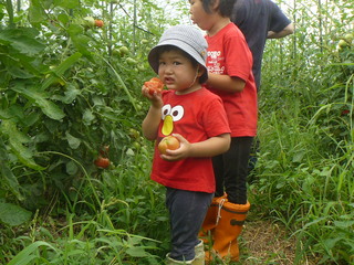P1100804.JPG