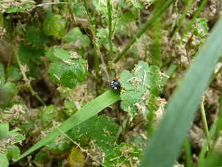 P1100838.JPG