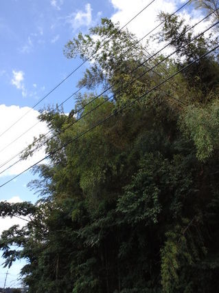 CA3J0222.jpg