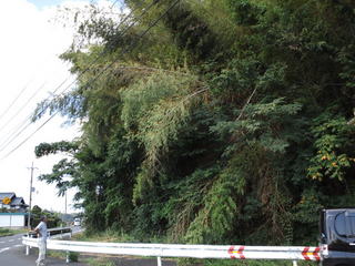 CA3J0224.jpg