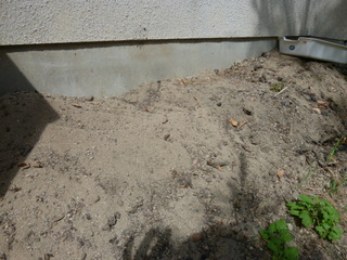 P1100771.JPG