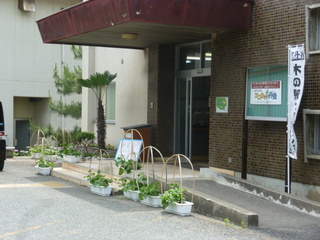 P1100801.JPG