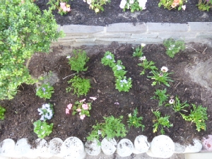mini_P1100749.jpg
