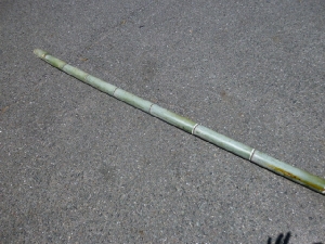 mini_P1100785.jpg