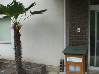 DSCF9440.jpg