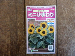P1010580.JPG