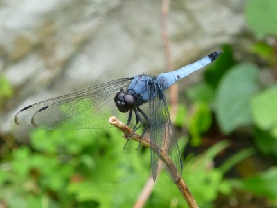 mini_P1030360.jpg